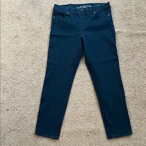 Gloria Vanderbilt Women's Navy Skinny Jeans